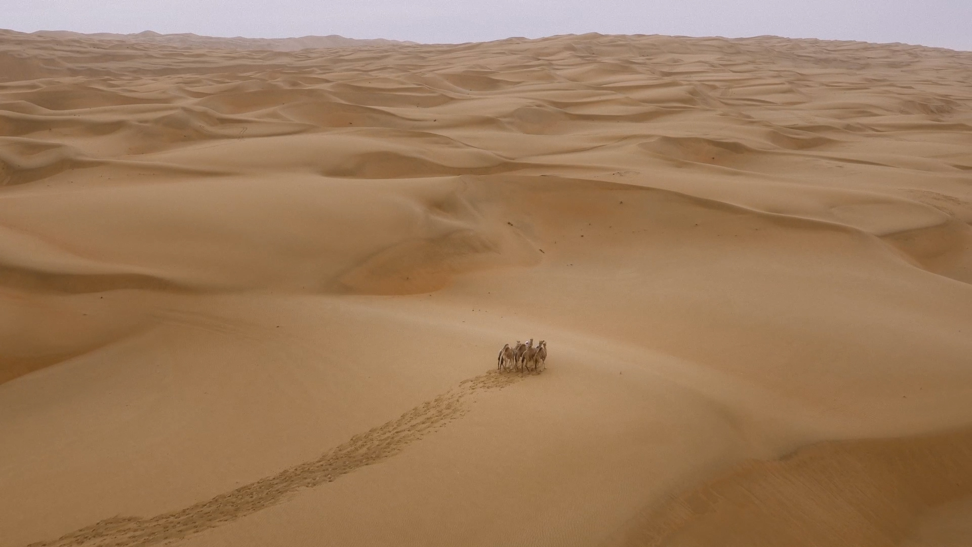 Secrets of the Dunes